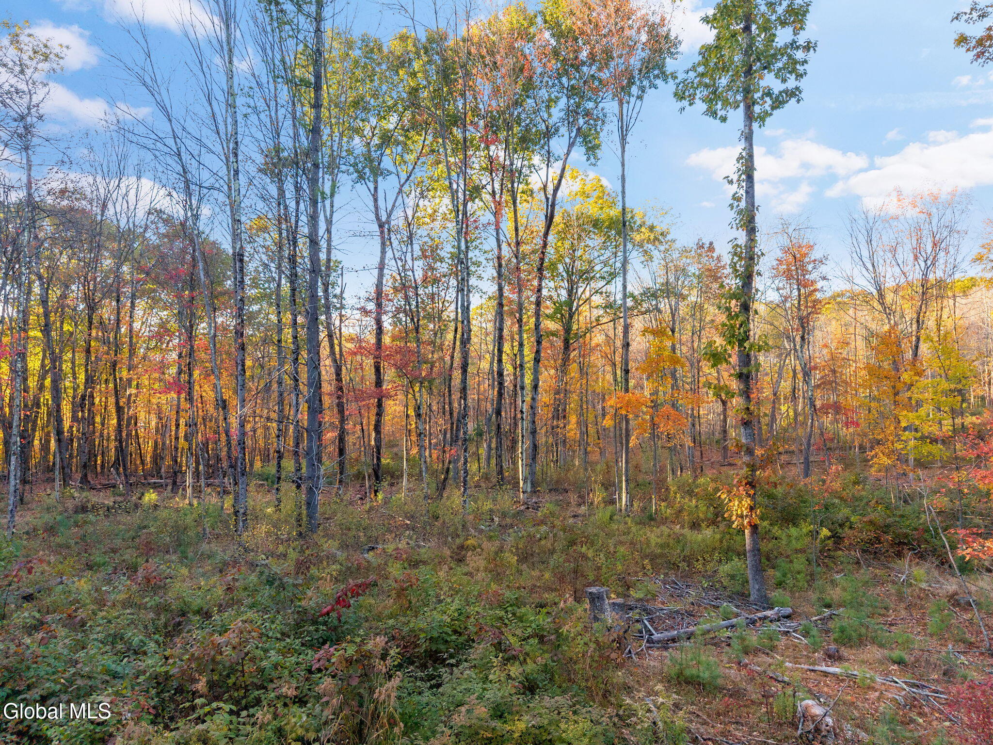 138 Old Road Grafton NY 12052