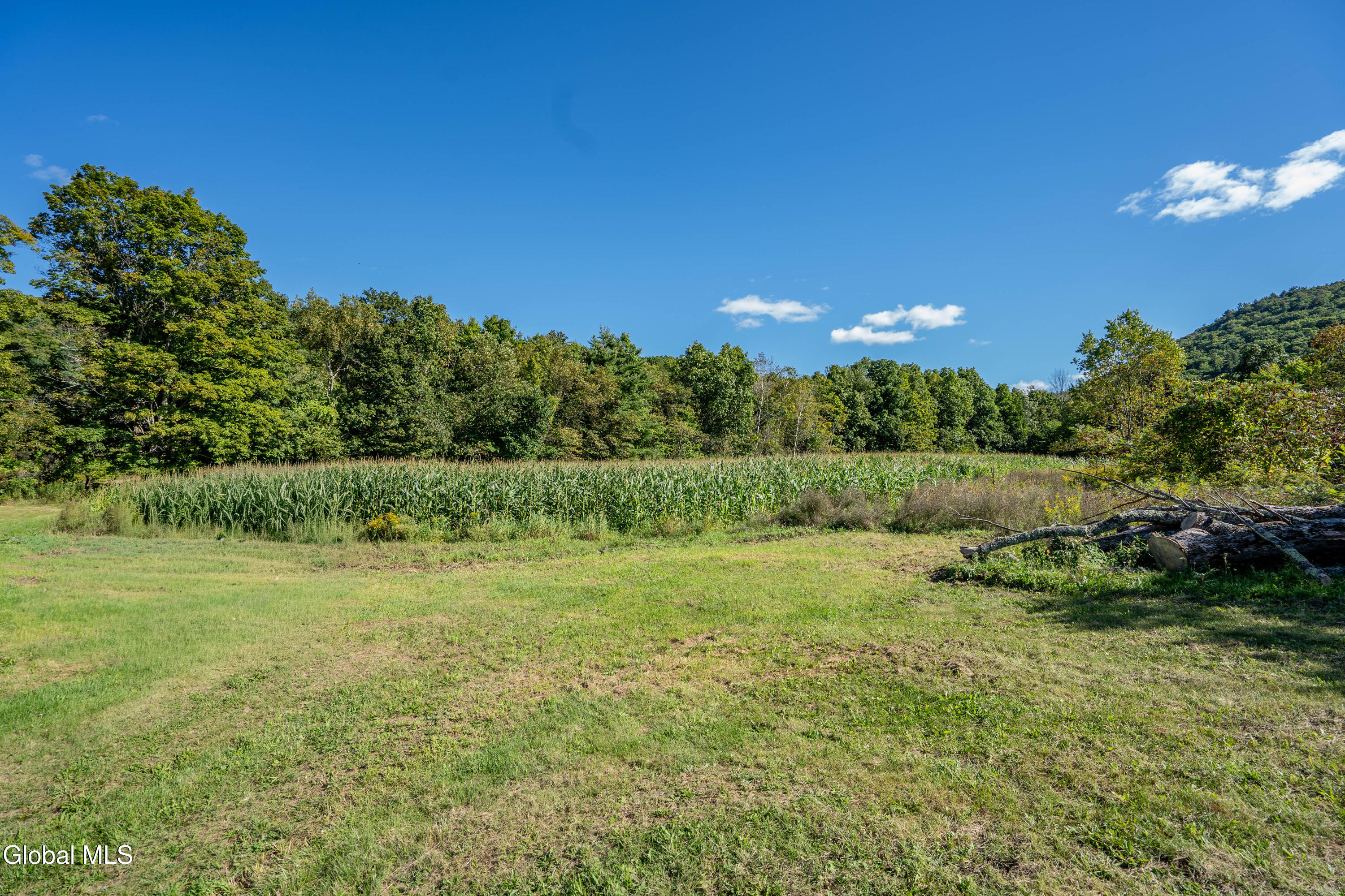 L4 Ny-313 Cambridge NY 12816