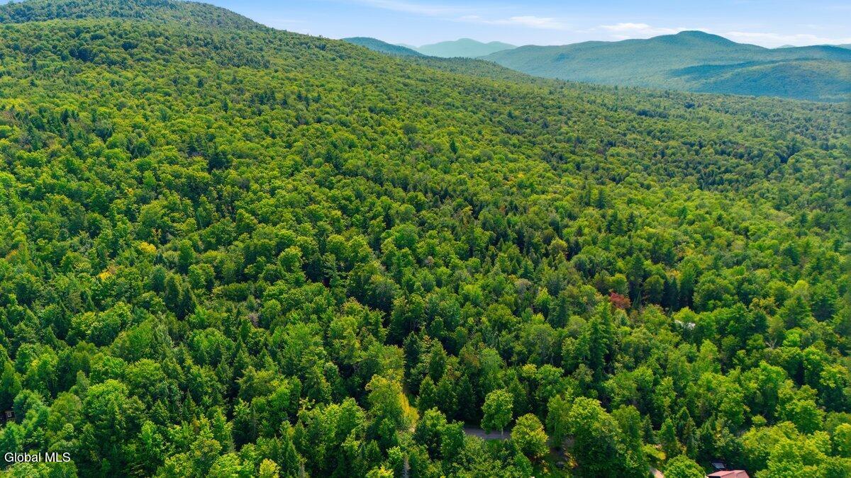 L 59 Horseshoe Pond Road Schroon Lake NY 12870