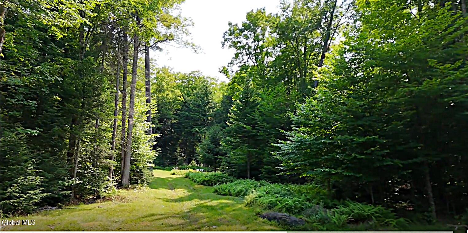 L 59 Horseshoe Pond Road Schroon Lake NY 12870