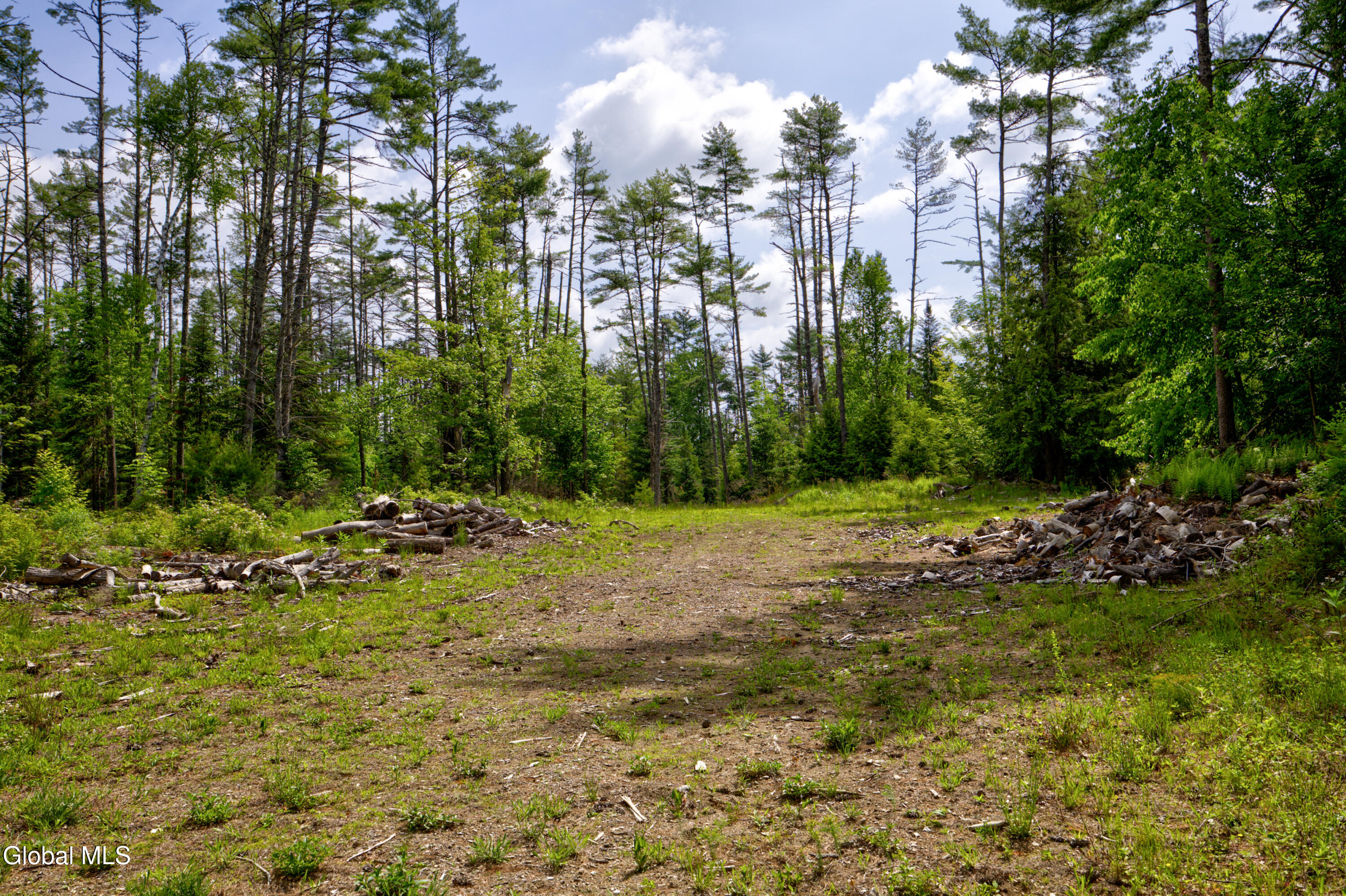 704 Landon Hill Road Chestertown NY 12817