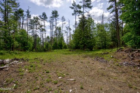704 Landon Hill Road Chestertown NY 12817