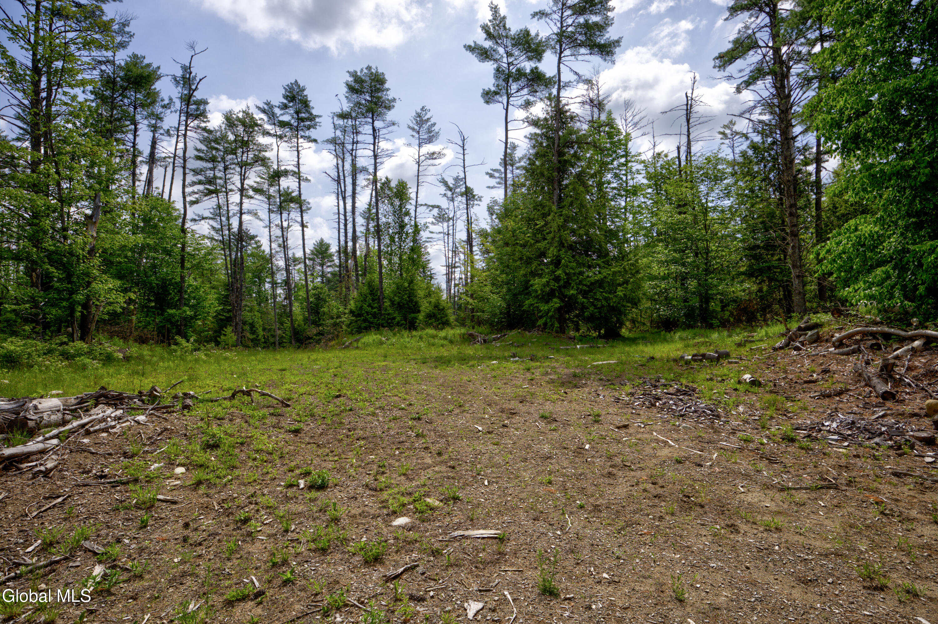 704 Landon Hill Road Chestertown NY 12817
