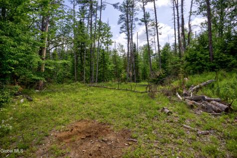 704 Landon Hill Road Chestertown NY 12817