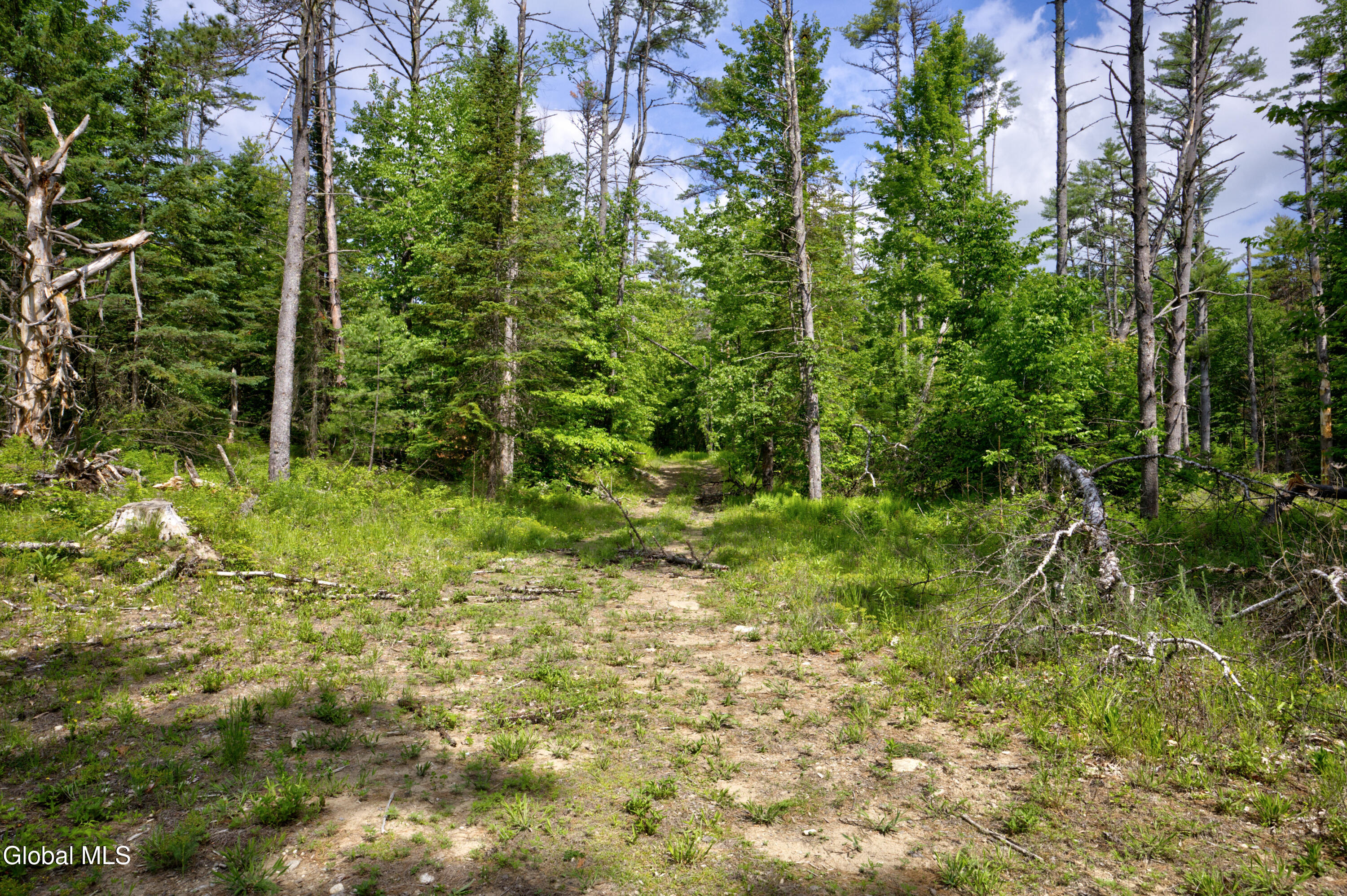 704 Landon Hill Road Chestertown NY 12817