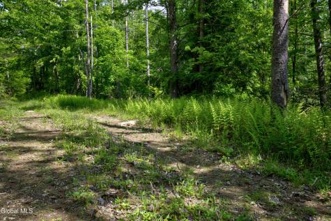 704 Landon Hill Road Chestertown NY 12817