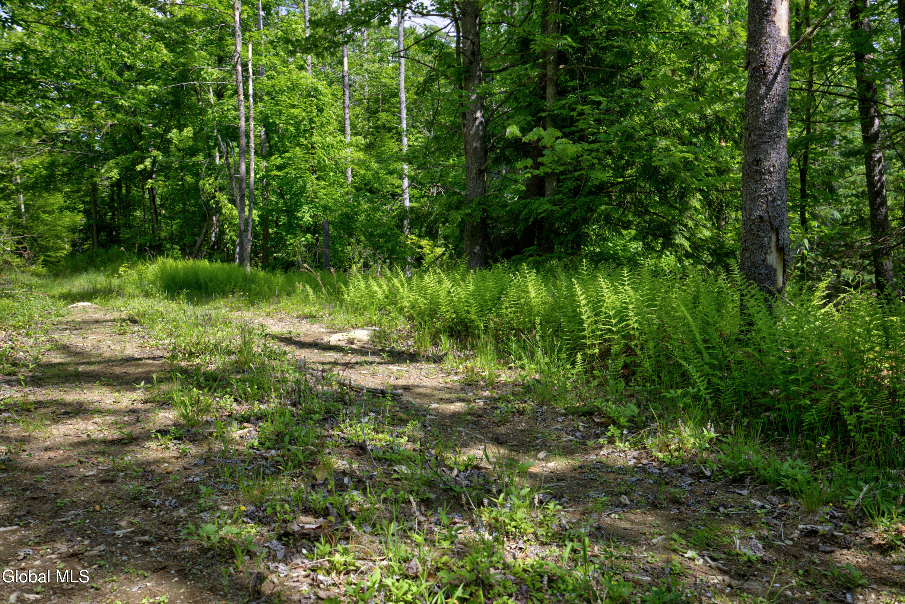 704 Landon Hill Road Chestertown NY 12817