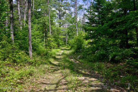 704 Landon Hill Road Chestertown NY 12817