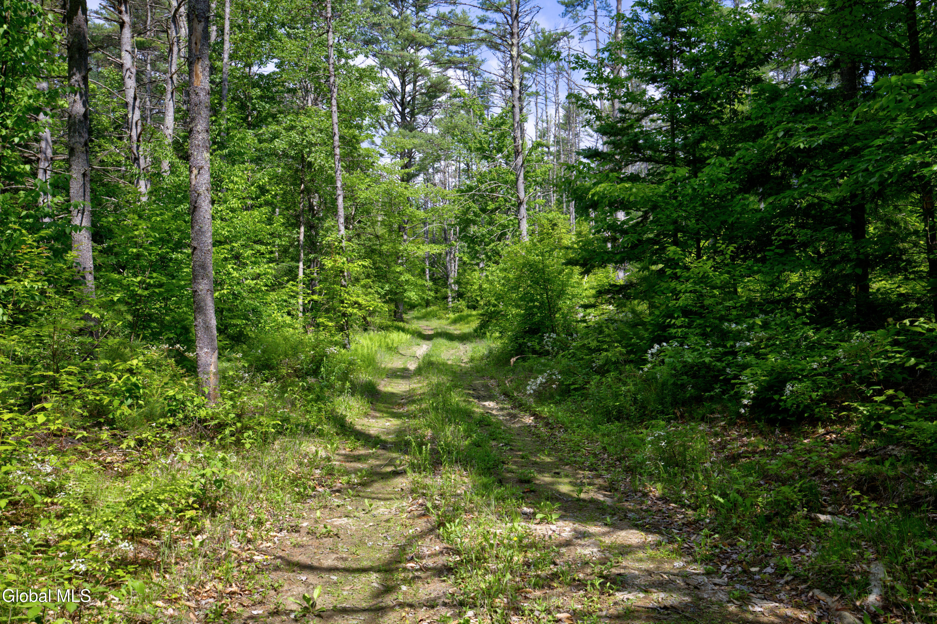 704 Landon Hill Road Chestertown NY 12817