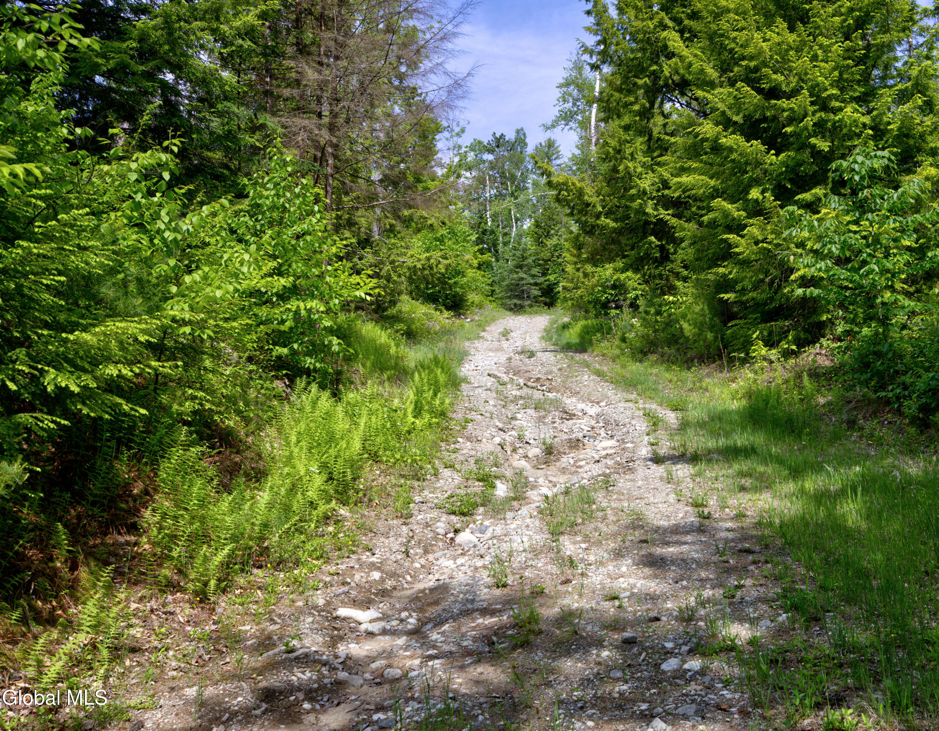 704 Landon Hill Road Chestertown NY 12817