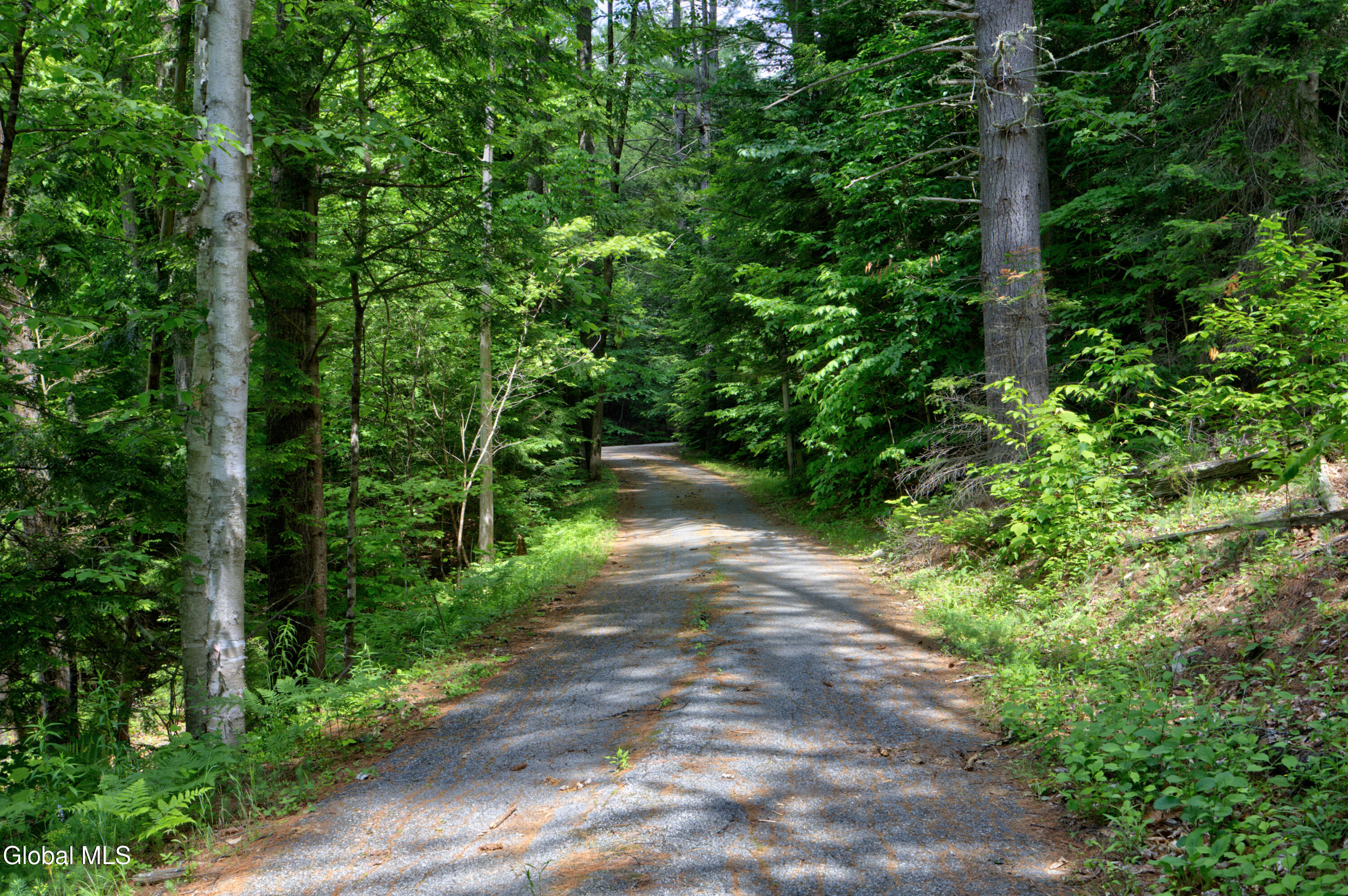 704 Landon Hill Road Chestertown NY 12817