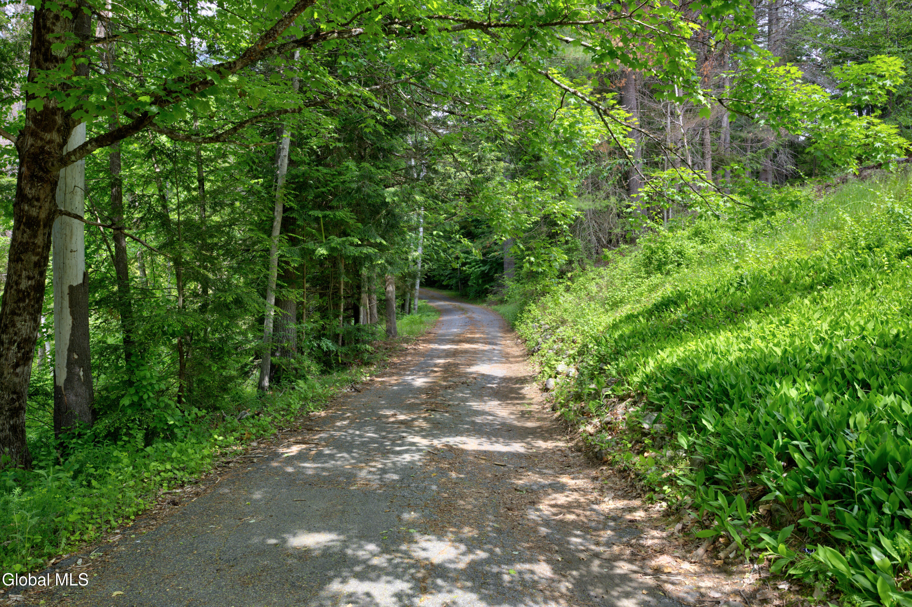 704 Landon Hill Road Chestertown NY 12817