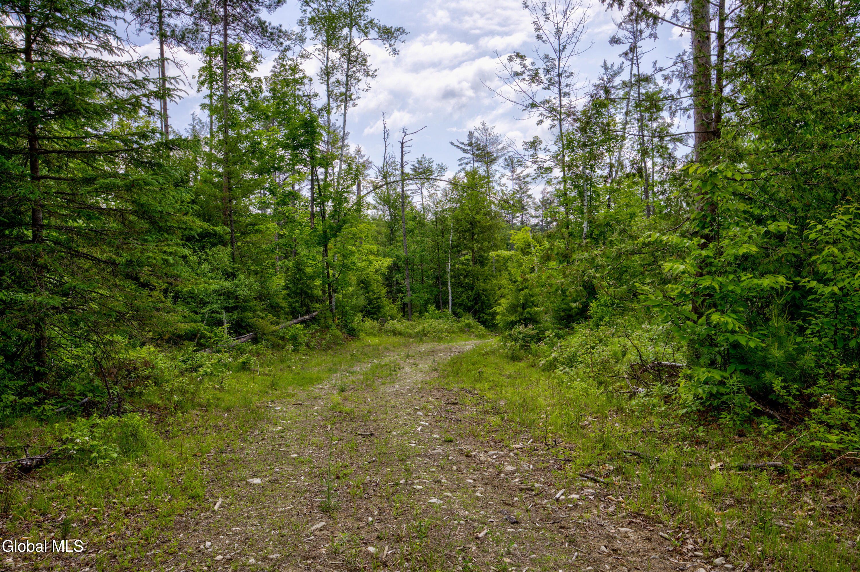 704 Landon Hill Road Chestertown NY 12817