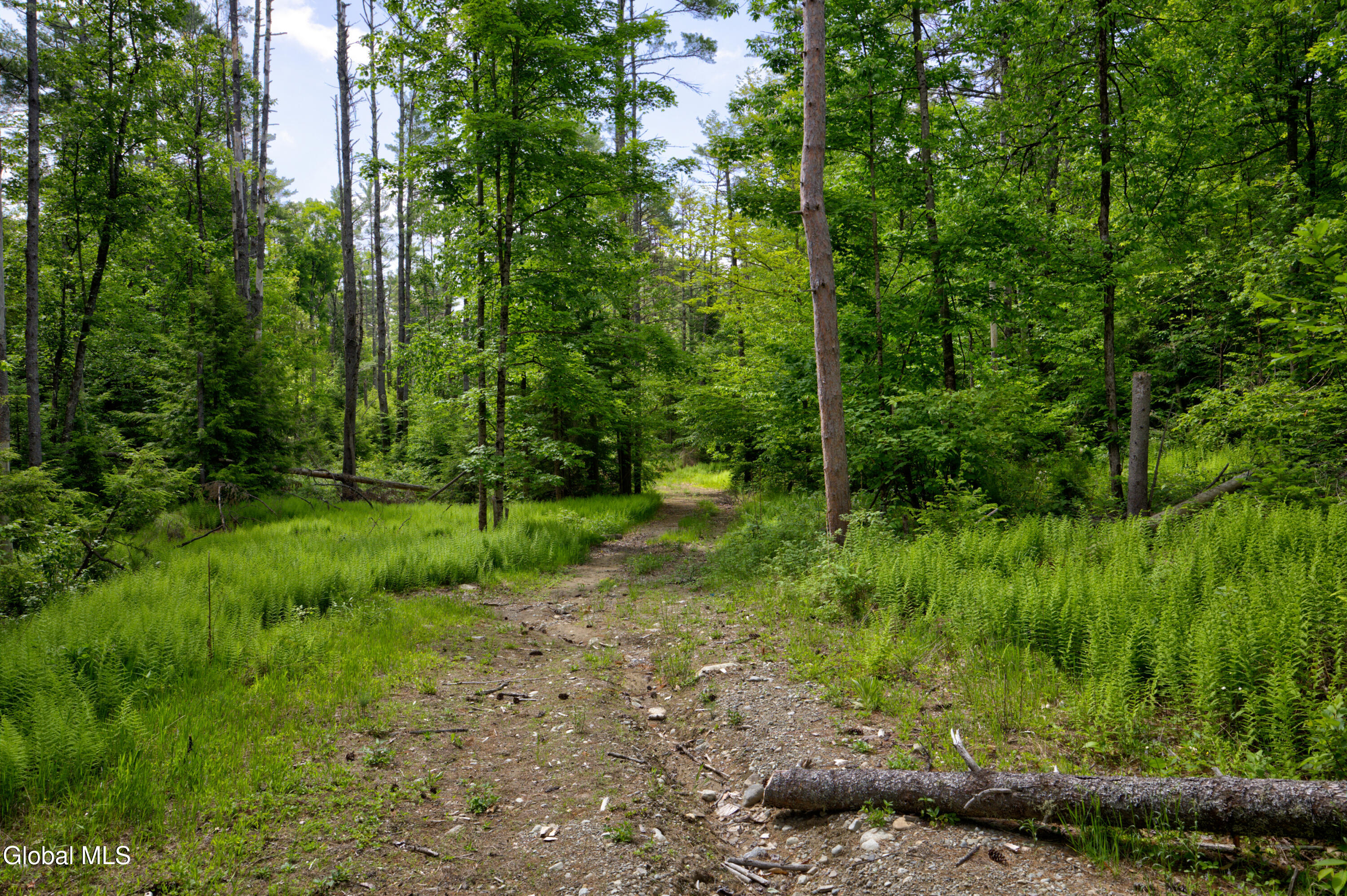 704 Landon Hill Road Chestertown NY 12817