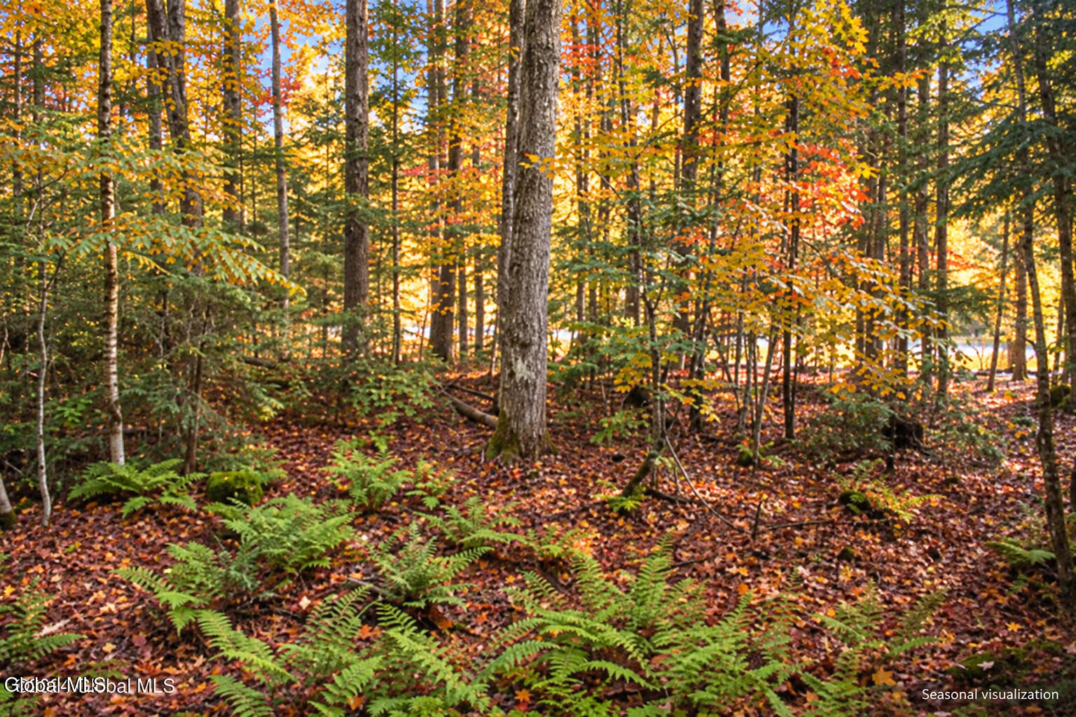 2577 Schroon River Road Warrensburg NY 12885