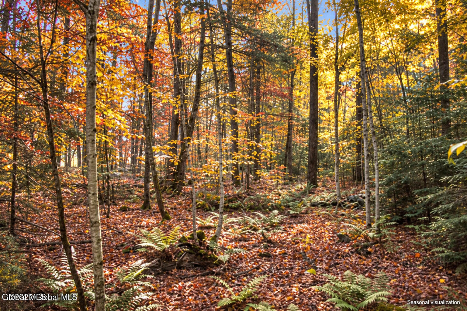 2577 Schroon River Road Warrensburg NY 12885