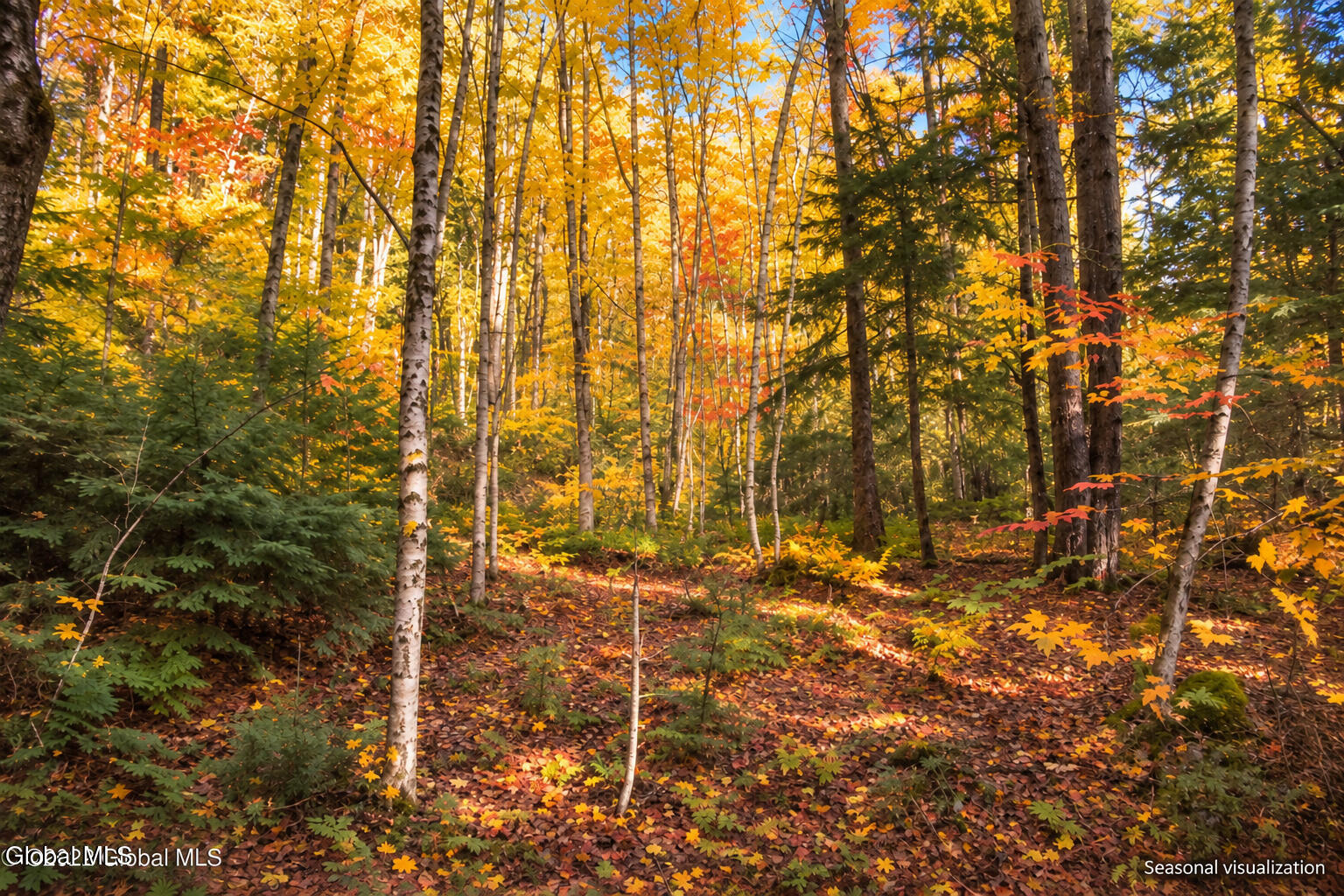 2577 Schroon River Road Warrensburg NY 12885