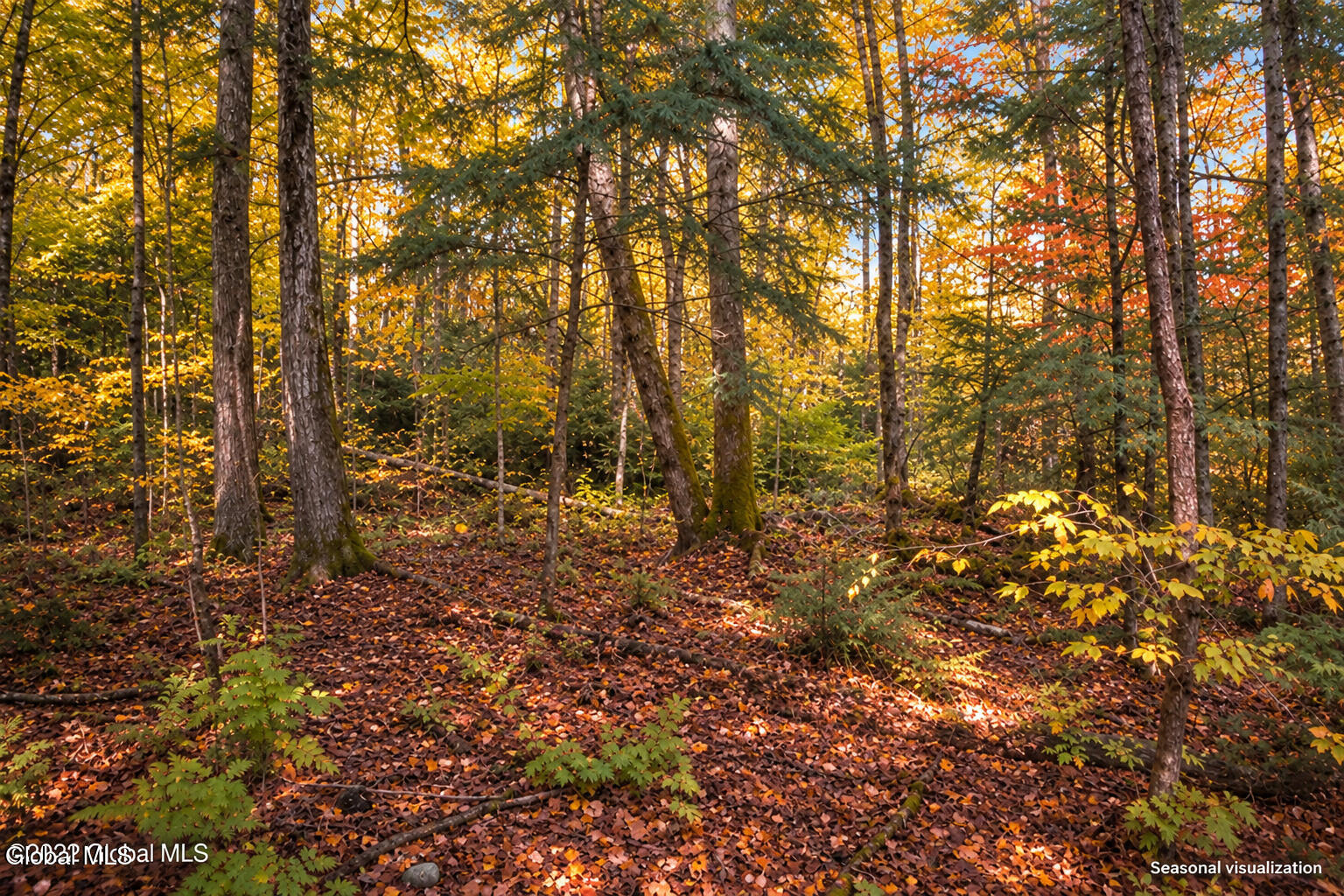 2577 Schroon River Road Warrensburg NY 12885