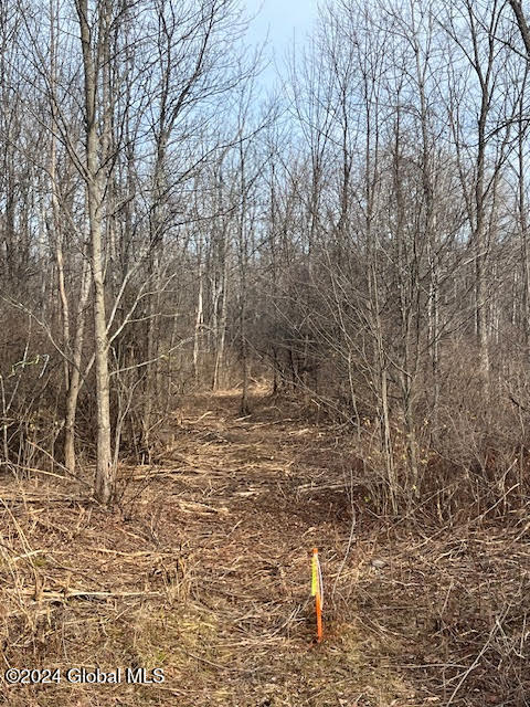453 Gage Road Delanson NY 12053
