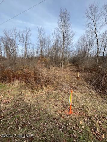 453 Gage Road Delanson NY 12053