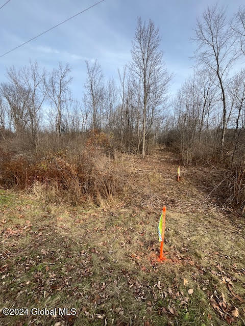 453 Gage Road Delanson NY 12053