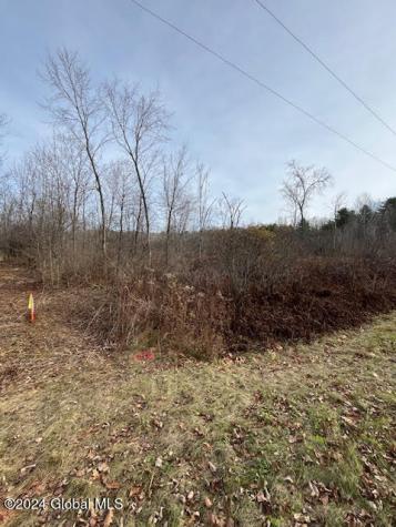 453 Gage Road Delanson NY 12053