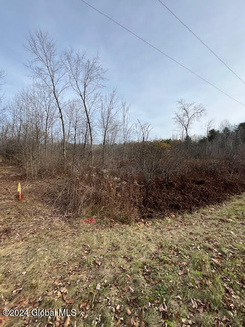 453 Gage Road Delanson NY 12053