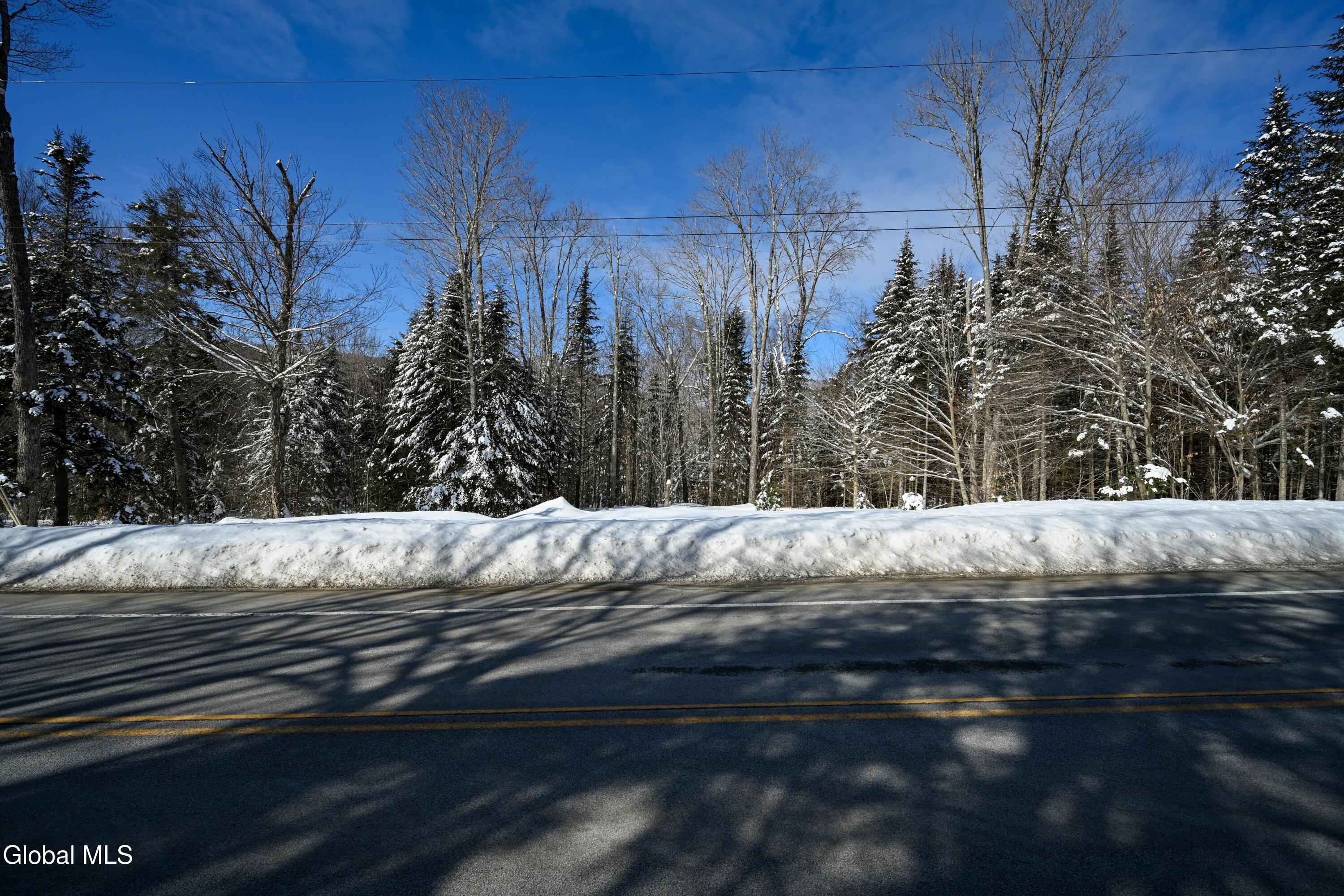 0 Nys Route 28n Minerva NY 12851