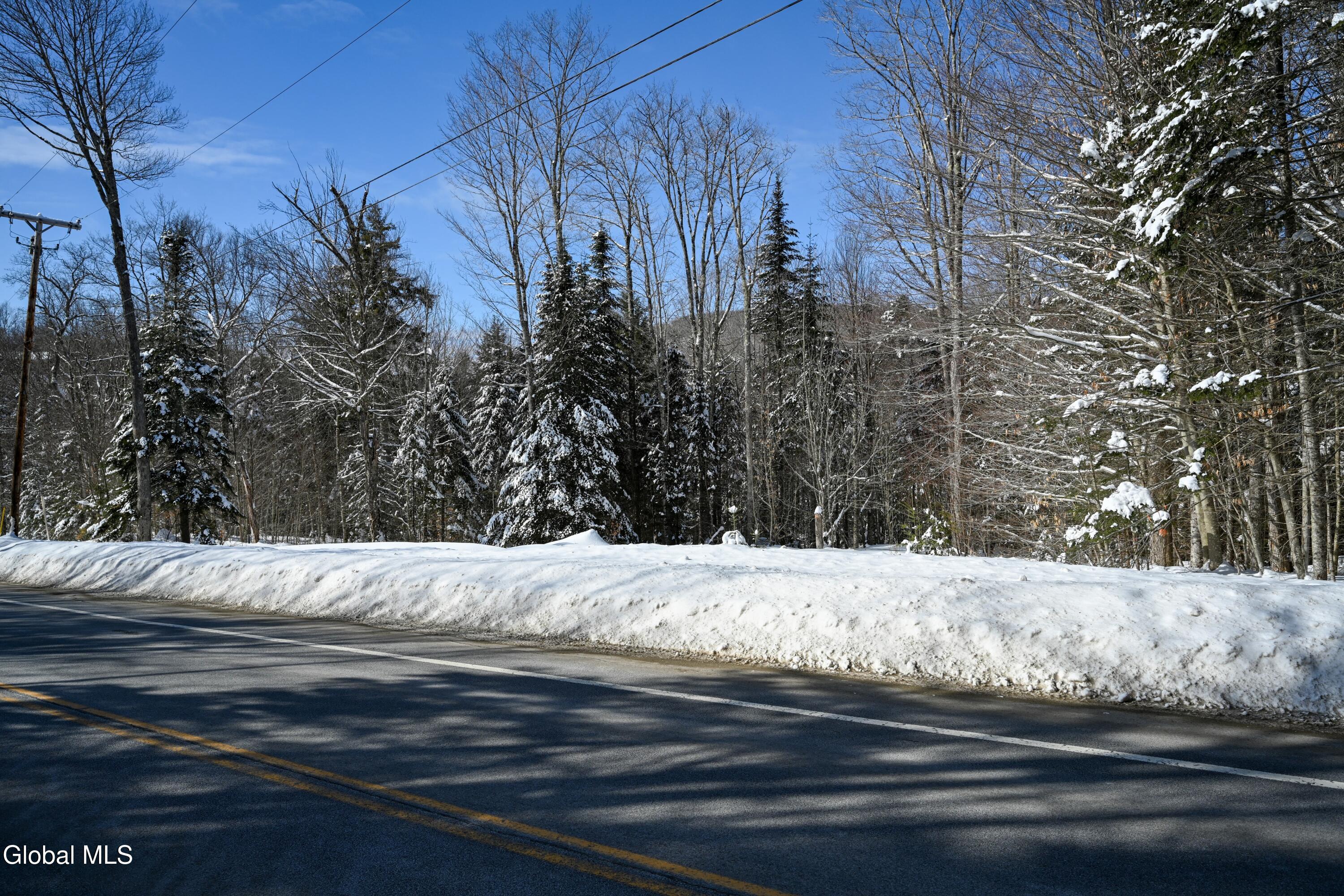 0 Nys Route 28n Minerva NY 12851