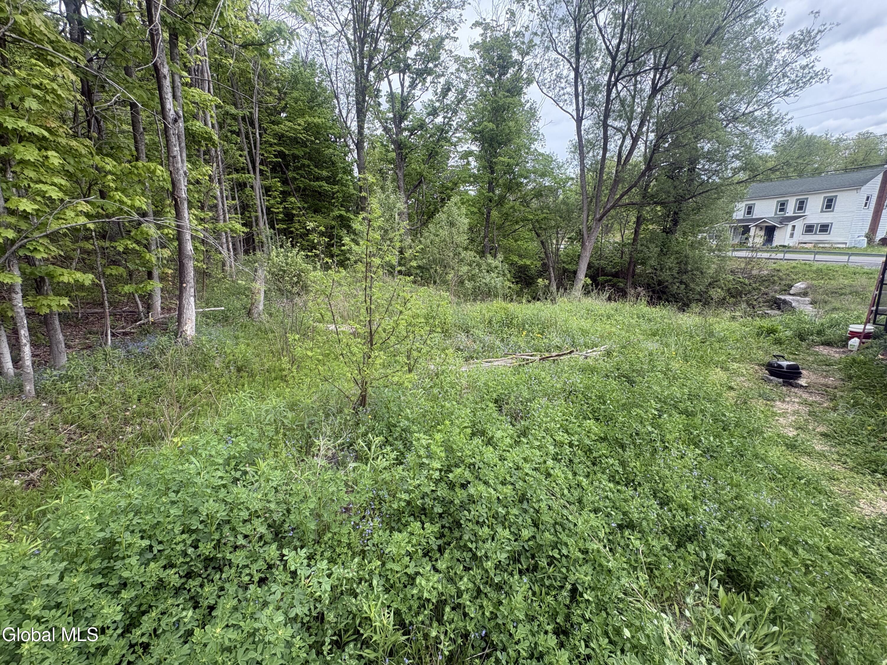 L 1 Mariaville Road Duanesburg NY 12056