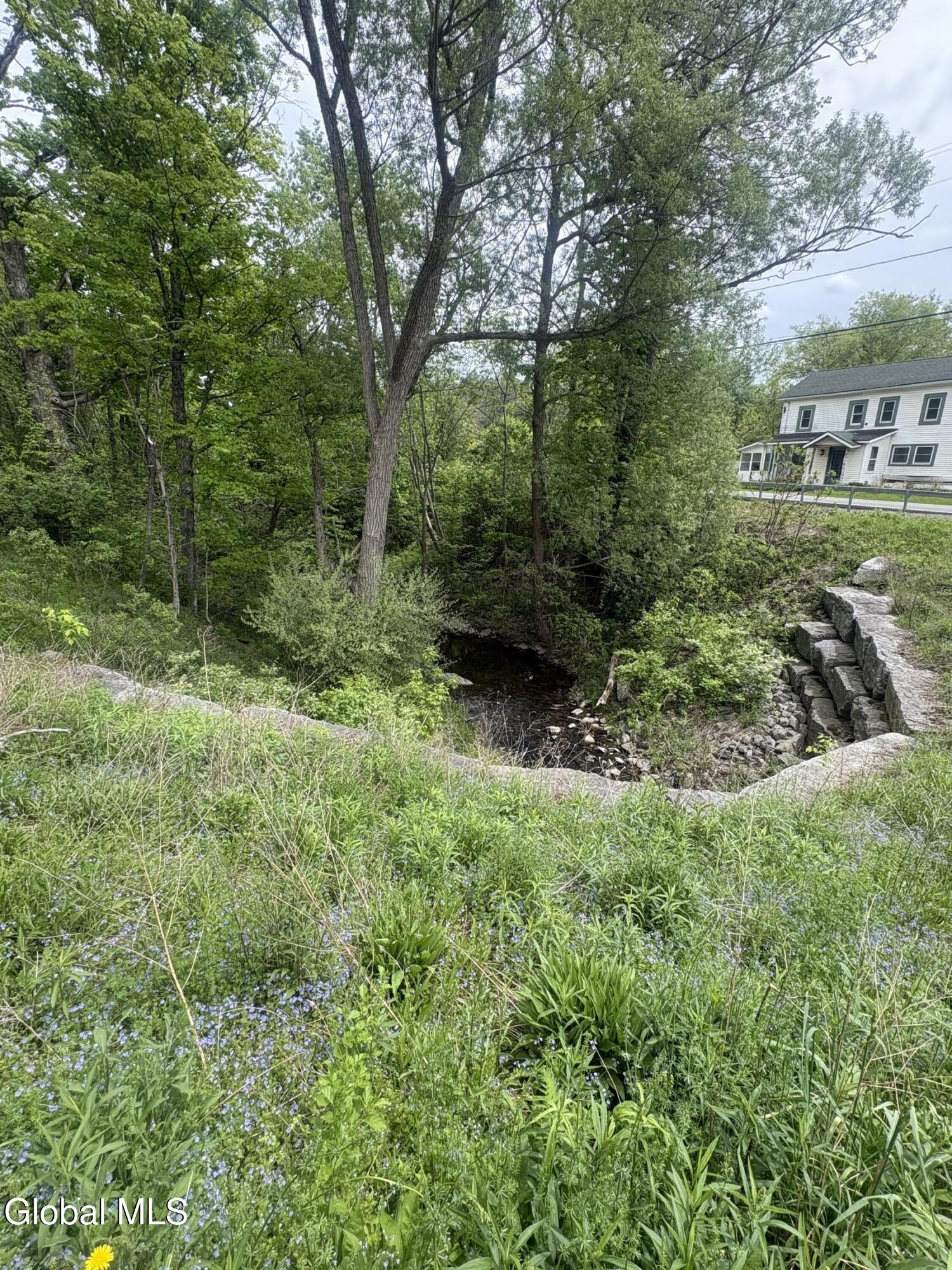 0 Mariaville Road Duanesburg NY 12056
