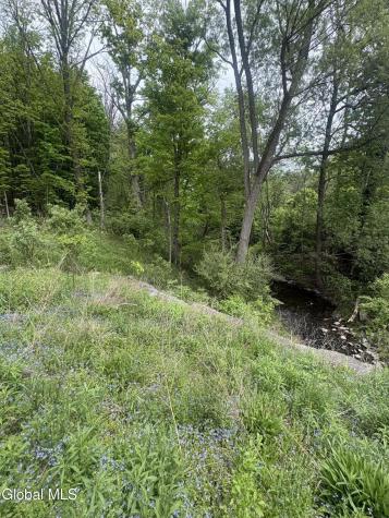 L 1 Mariaville Road Duanesburg NY 12056