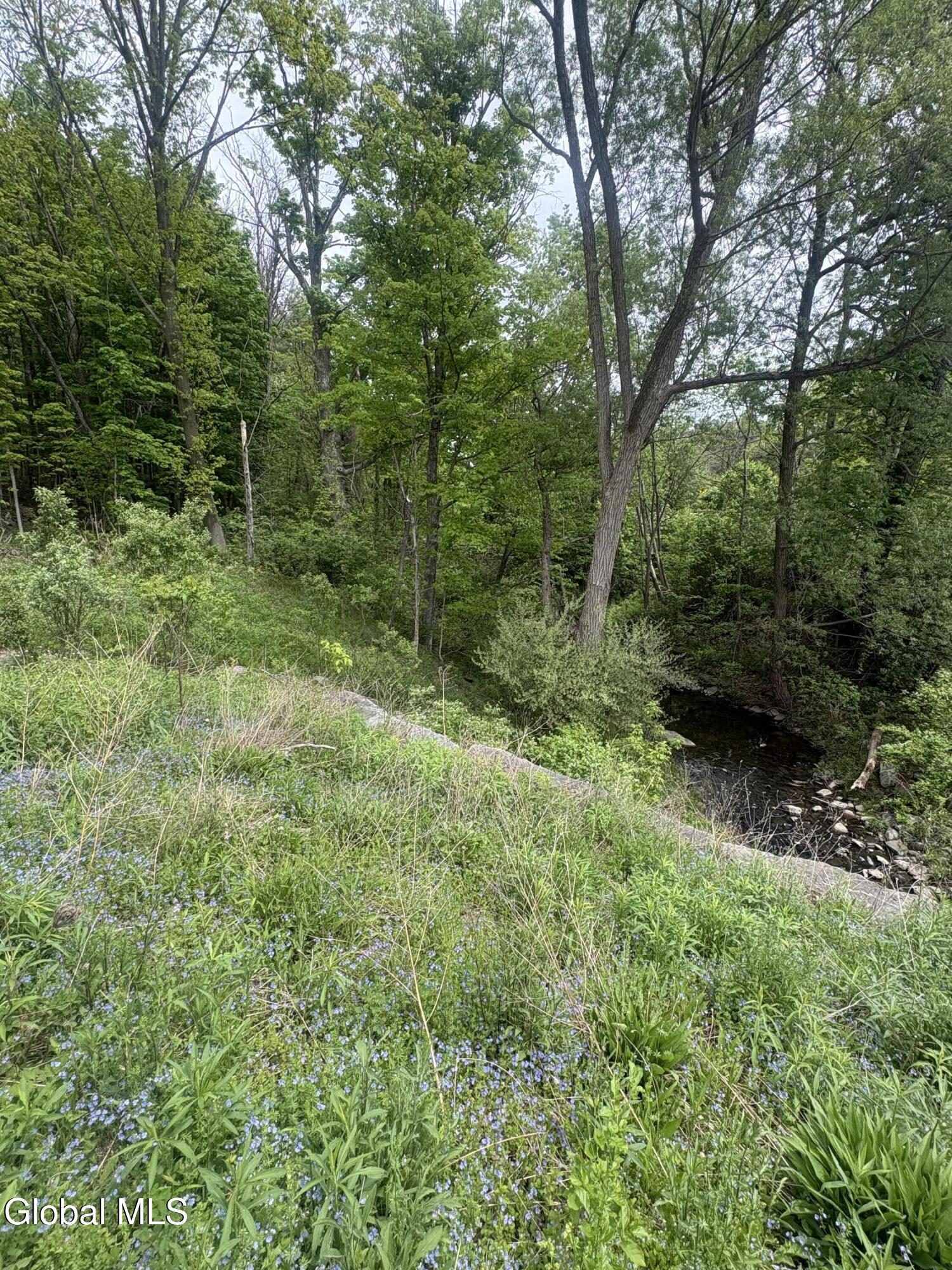 0 Mariaville Road Duanesburg NY 12056