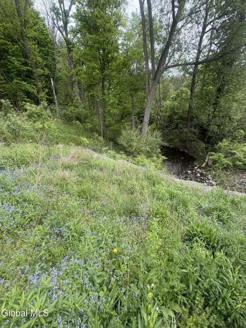 L 1 Mariaville Road Duanesburg NY 12056