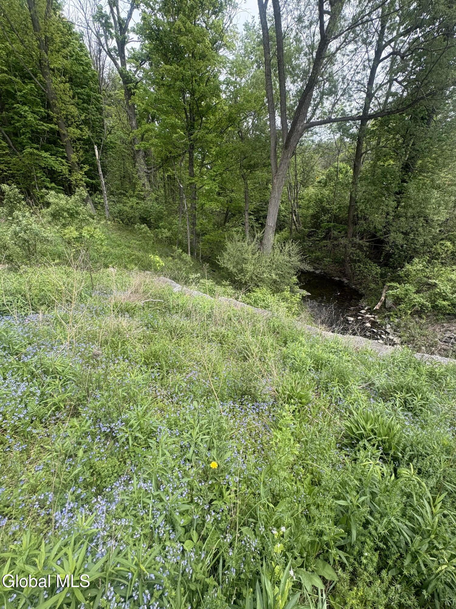0 Mariaville Road Duanesburg NY 12056