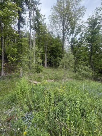 L 1 Mariaville Road Duanesburg NY 12056