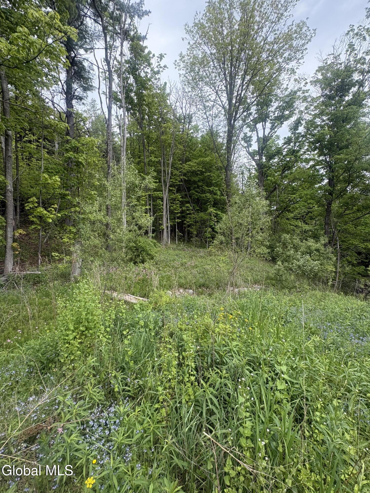 0 Mariaville Road Duanesburg NY 12056