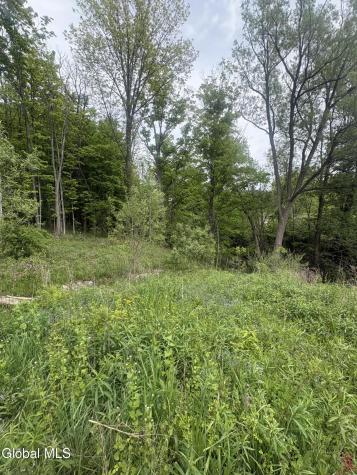 L 1 Mariaville Road Duanesburg NY 12056