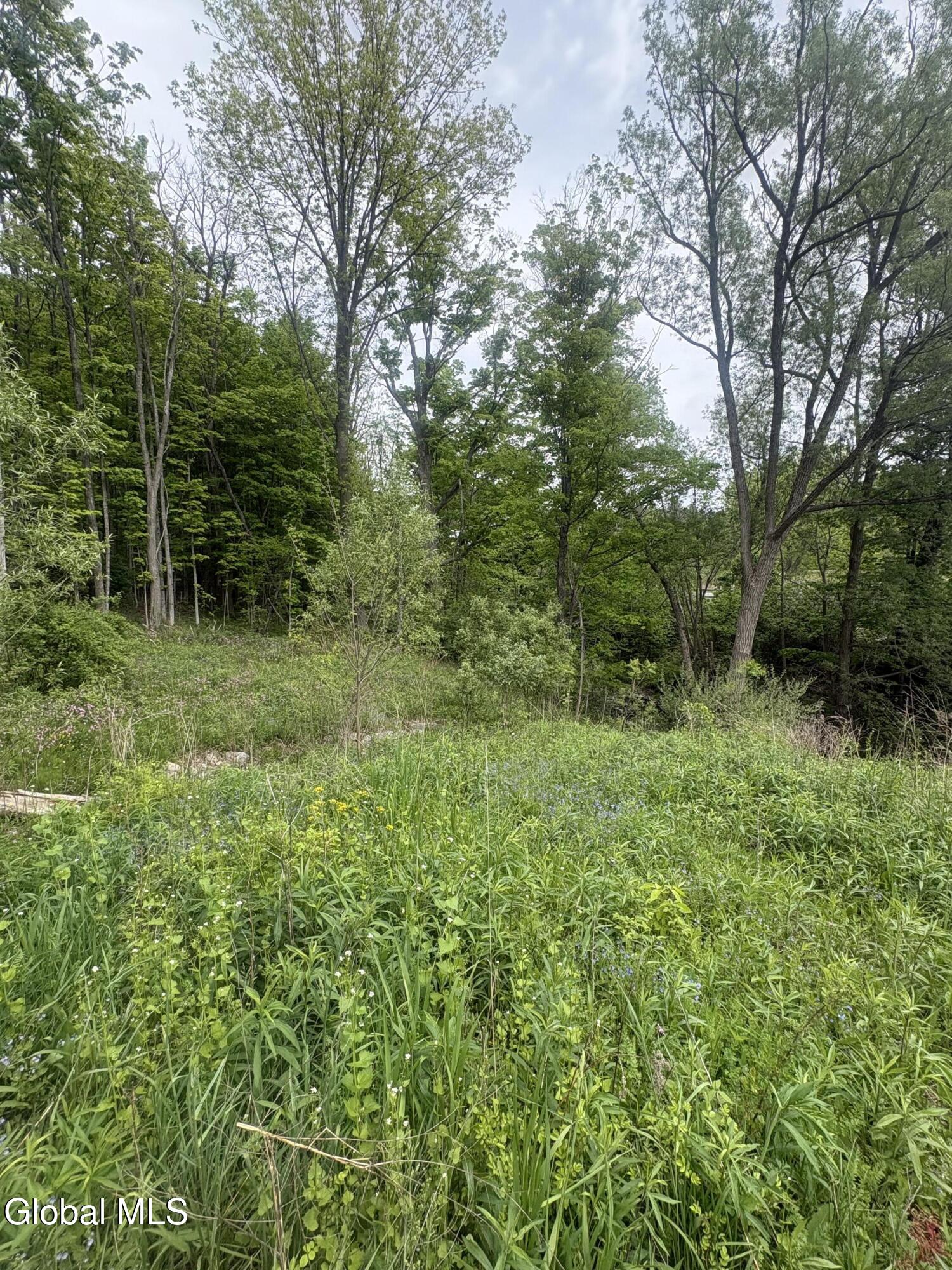 0 Mariaville Road Duanesburg NY 12056