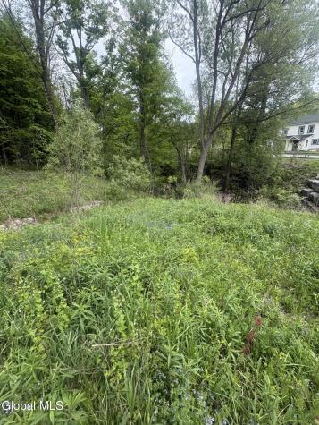 L 1 Mariaville Road Duanesburg NY 12056