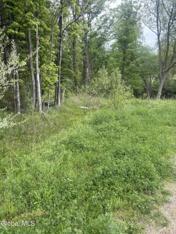 L 1 Mariaville Road Duanesburg NY 12056