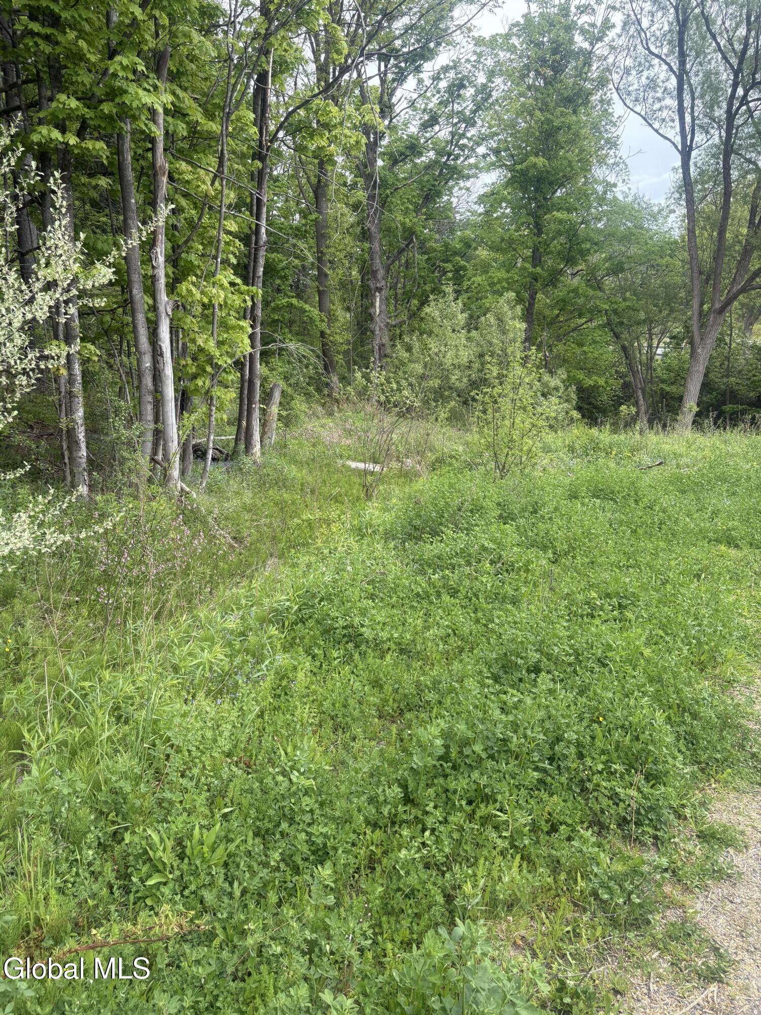0 Mariaville Road Duanesburg NY 12056