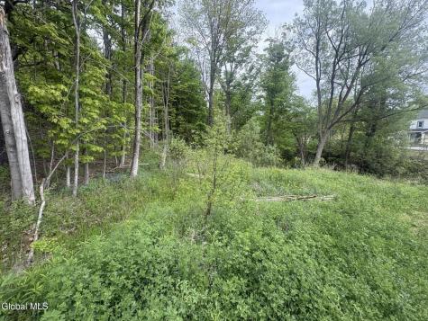 L 1 Mariaville Road Duanesburg NY 12056