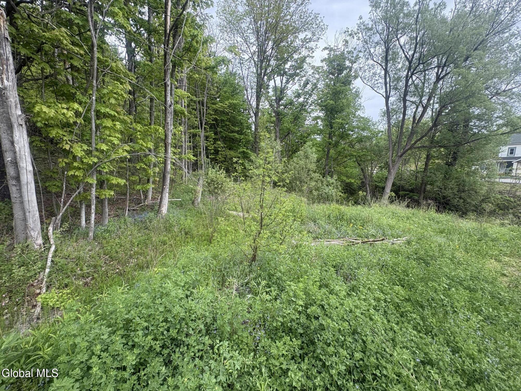 0 Mariaville Road Duanesburg NY 12056