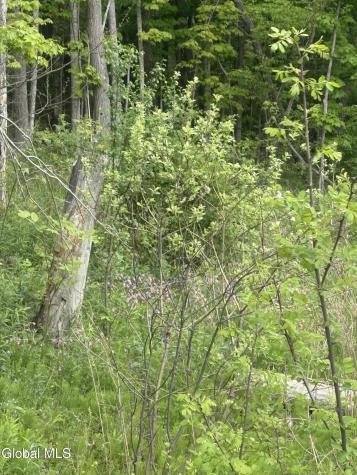 L 1 Mariaville Road Duanesburg NY 12056