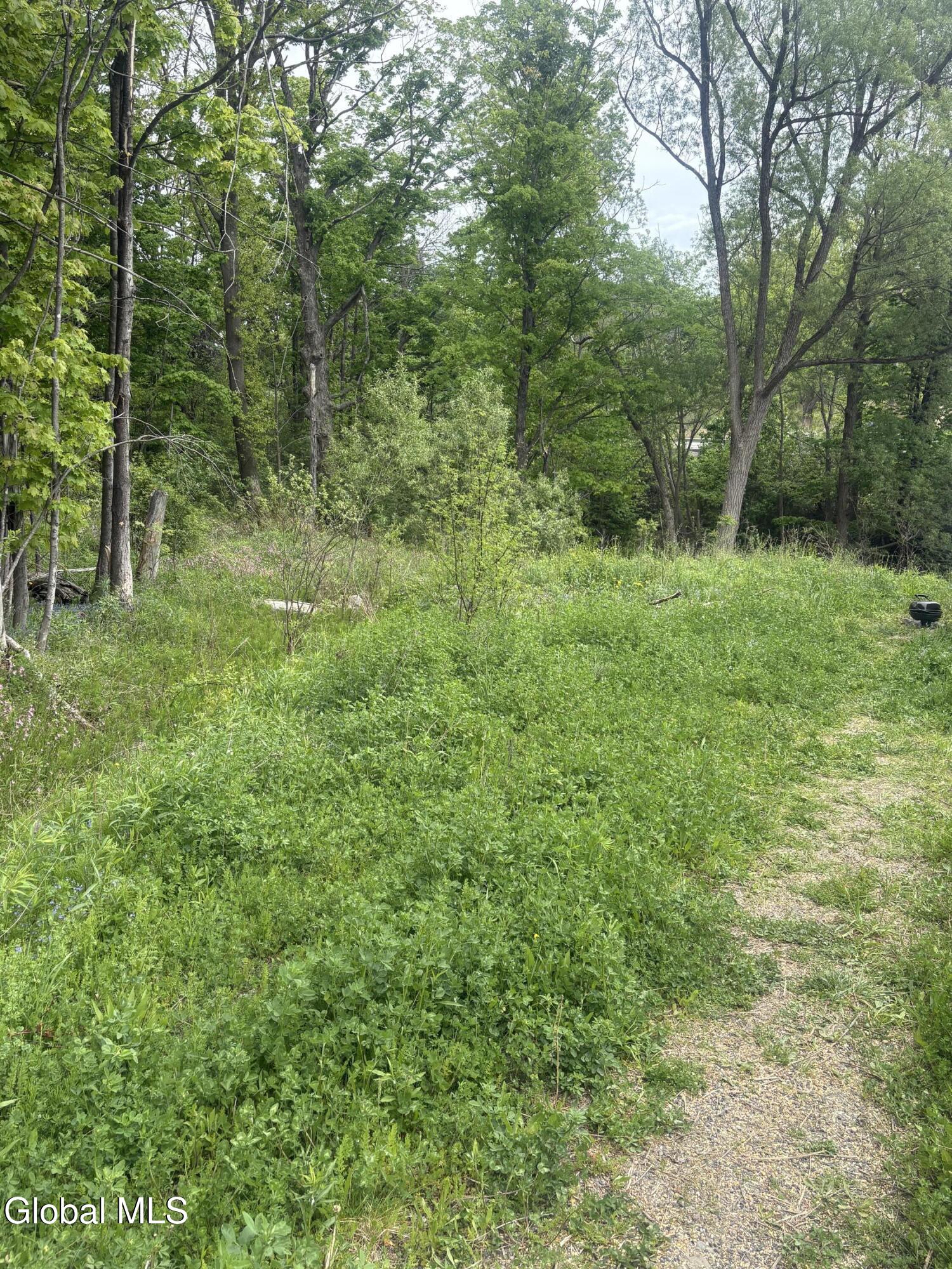 0 Mariaville Road Duanesburg NY 12056