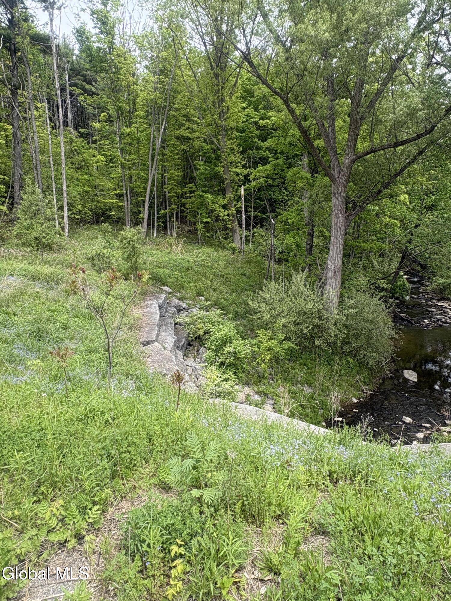 0 Mariaville Road Duanesburg NY 12056