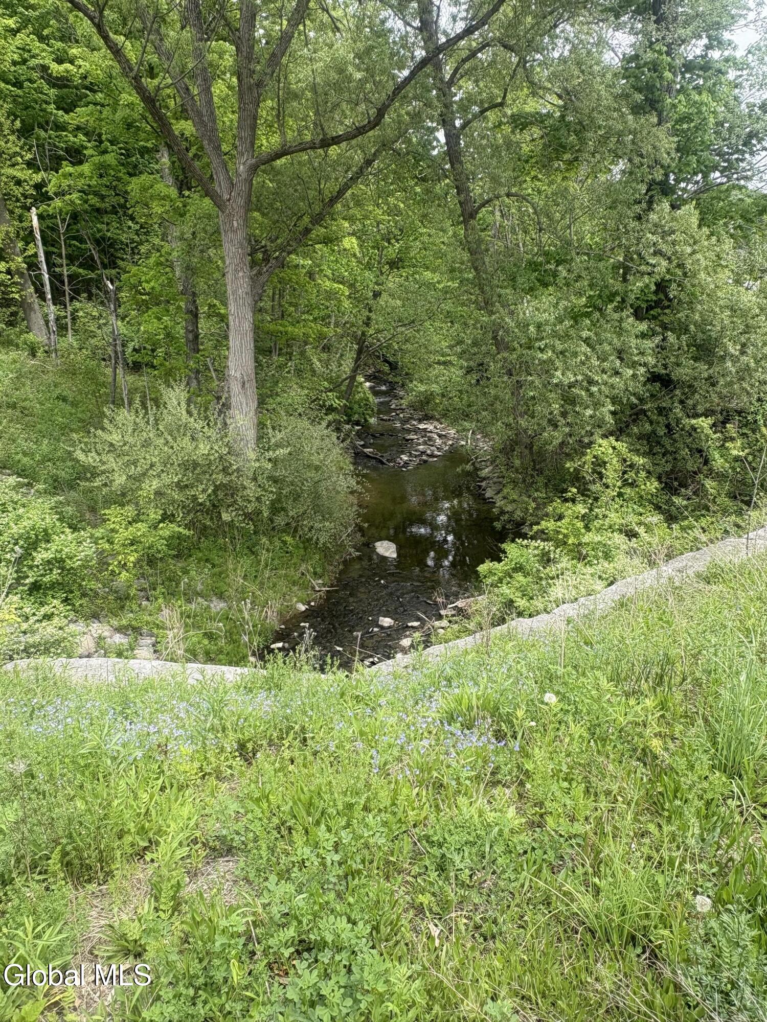 0 Mariaville Road Duanesburg NY 12056