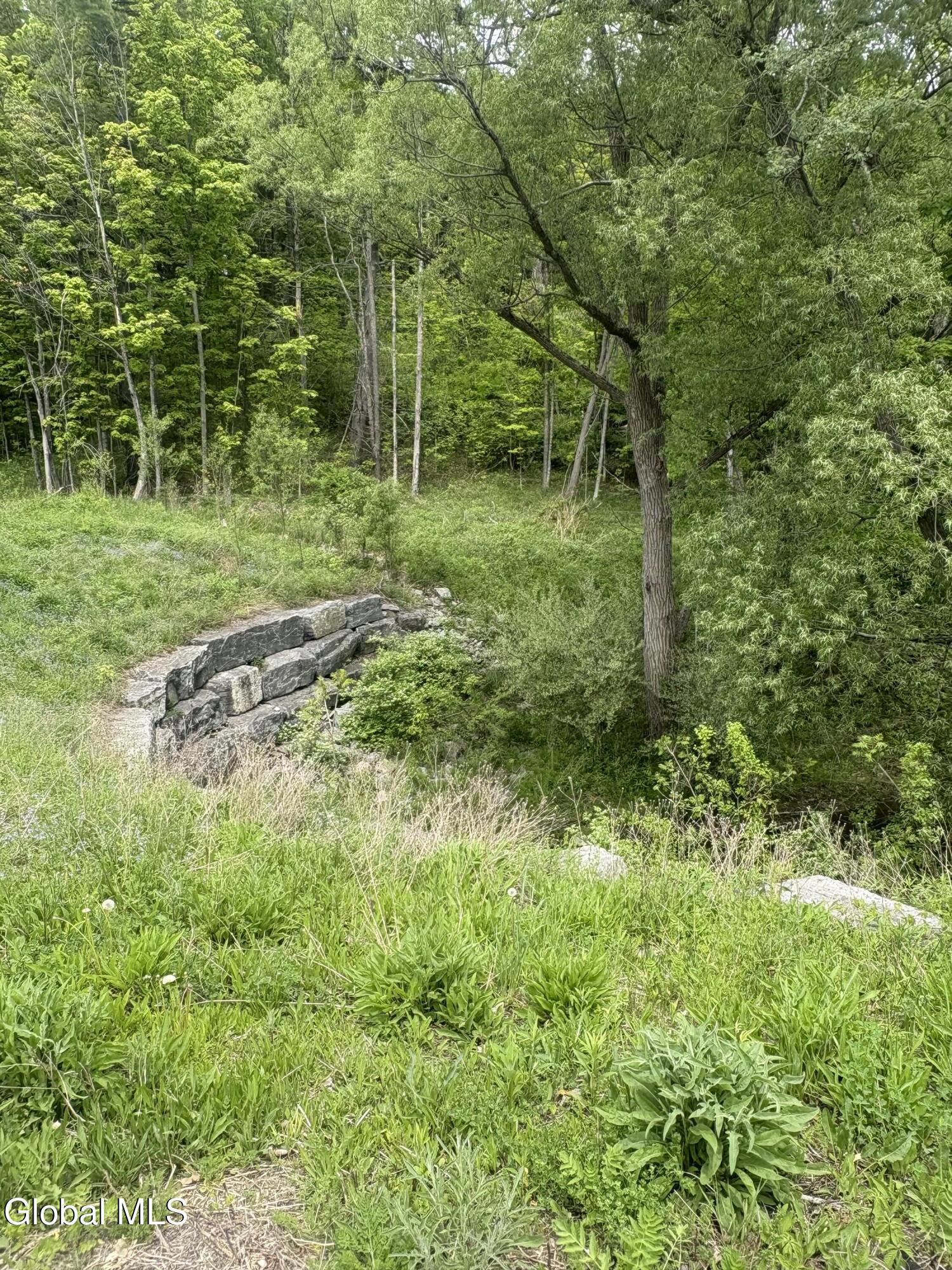 0 Mariaville Road Duanesburg NY 12056