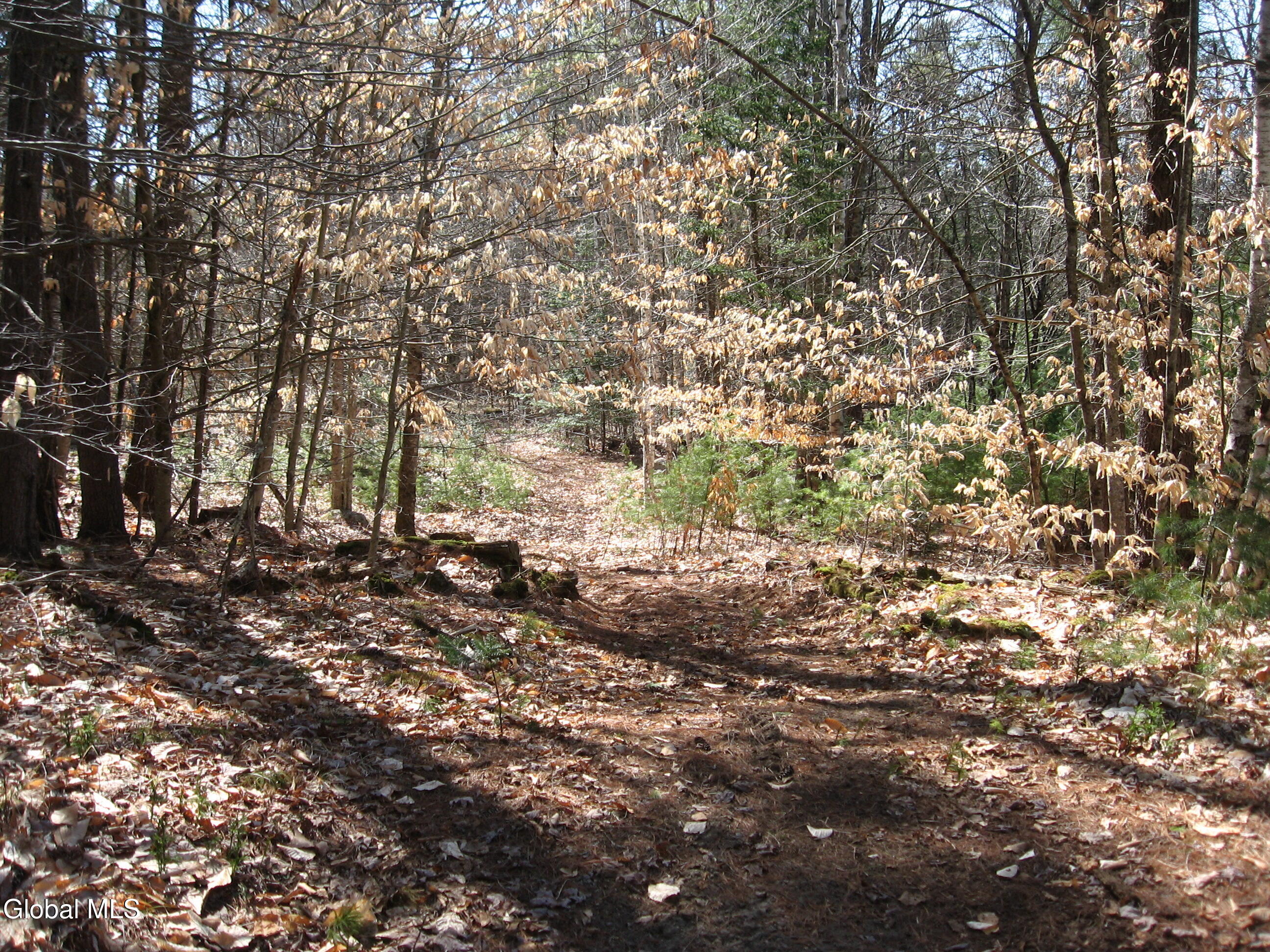 386 Beaver Pond Road Adirondack NY 12815